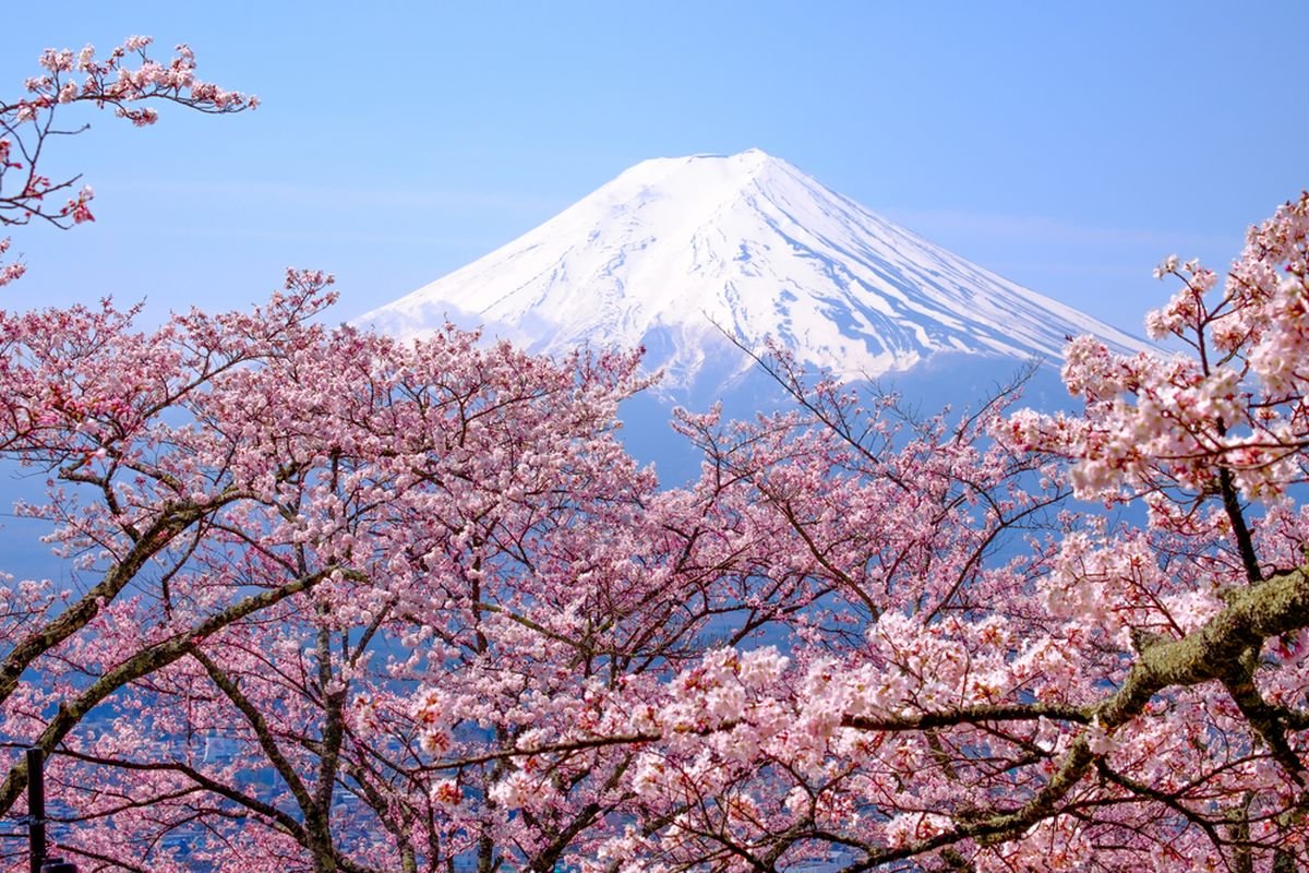 Tokyo Tokyo