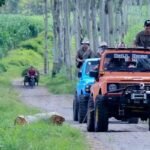 Wisata