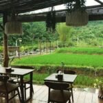 Wisata Alam