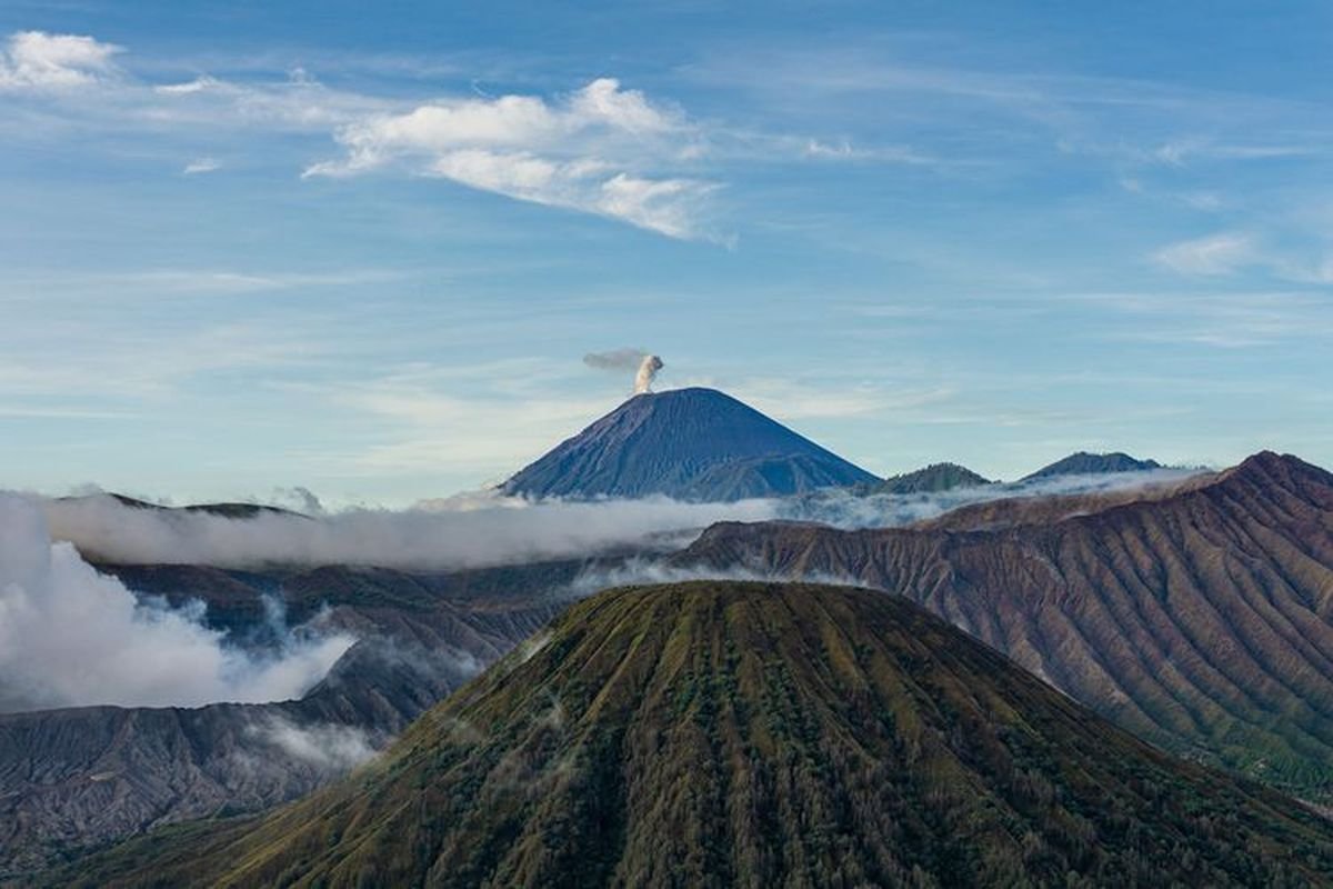 Taman Nasional