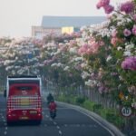 Wisata Surabaya ala Luar Negeri