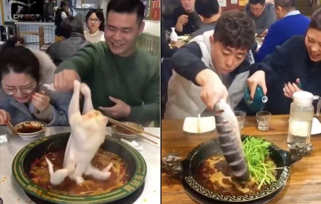 bawa makanan sendiri
