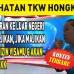 Liburan Luar Negeri Turun