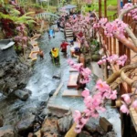 Malang ala Luar Negeri