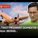 tiket pesawat domestik mahal