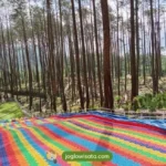 Wisata Baru Jogja