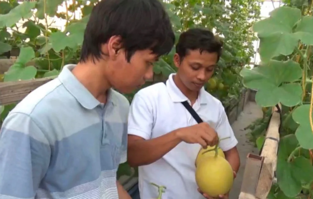 Agrowisata Libur Akhir Tahun Agrowisata Libur Akhir Tahun