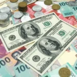 bisnis cuan dolar