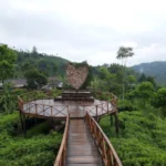 Kebun Teh Jawa Timur