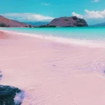 Pantai Pink Manta Point