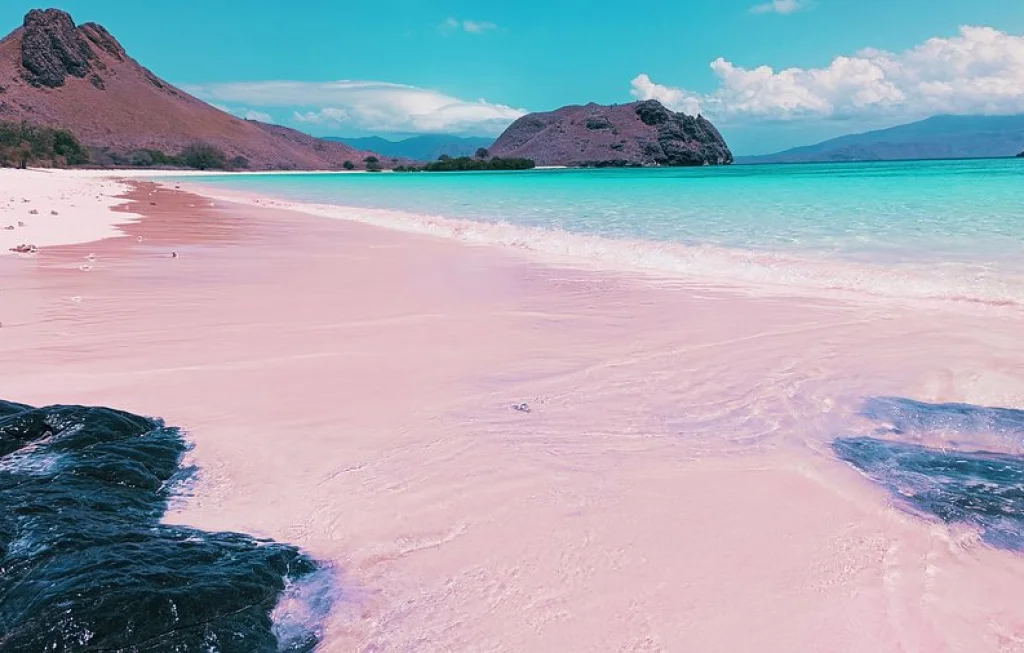 Pantai Pink Manta Point