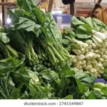 Pasar Wisata Indonesia